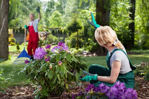 Team member assessing a residential garden for maintenance work