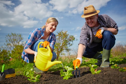 Healthy soil preparation for garden plants
