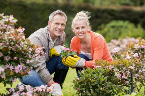 Selection of native plants suitable for Brockley gardens
